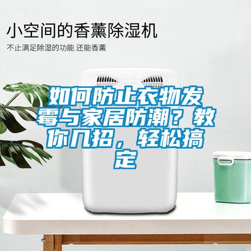如何防止衣物發(fā)霉與家居防潮？教你幾招，輕松搞定