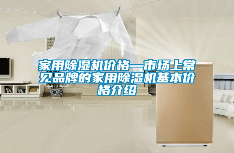 家用除濕機(jī)價(jià)格—市場上常見品牌的家用除濕機(jī)基本價(jià)格介紹