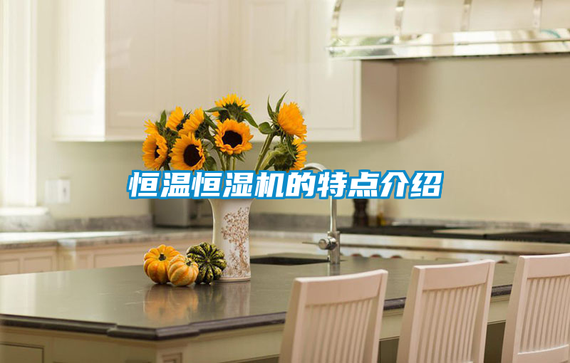 恒溫恒濕機(jī)的特點(diǎn)介紹