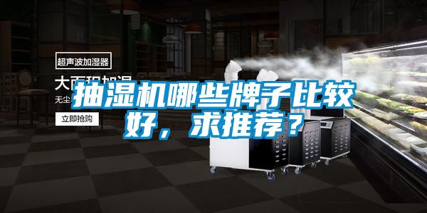 抽濕機(jī)哪些牌子比較好，求推薦？