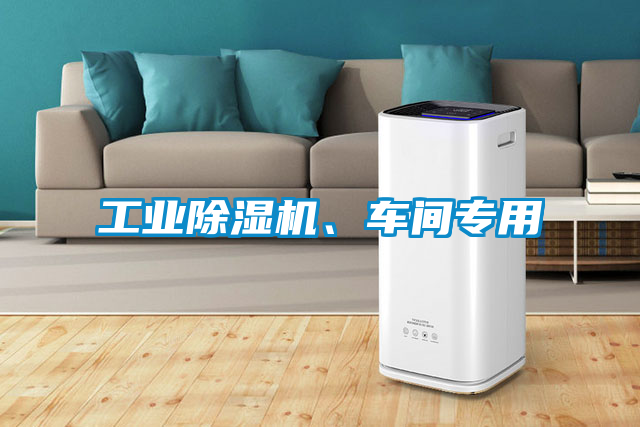 工業(yè)除濕機、車間專用