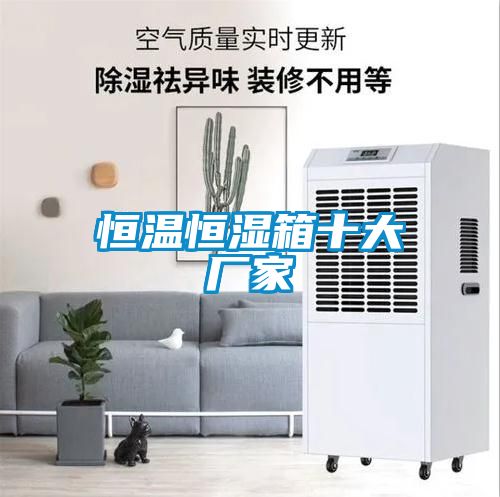 恒溫恒濕箱十大廠(chǎng)家
