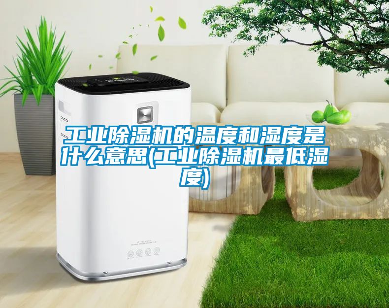 工業(yè)除濕機(jī)的溫度和濕度是什么意思(工業(yè)除濕機(jī)最低濕度)