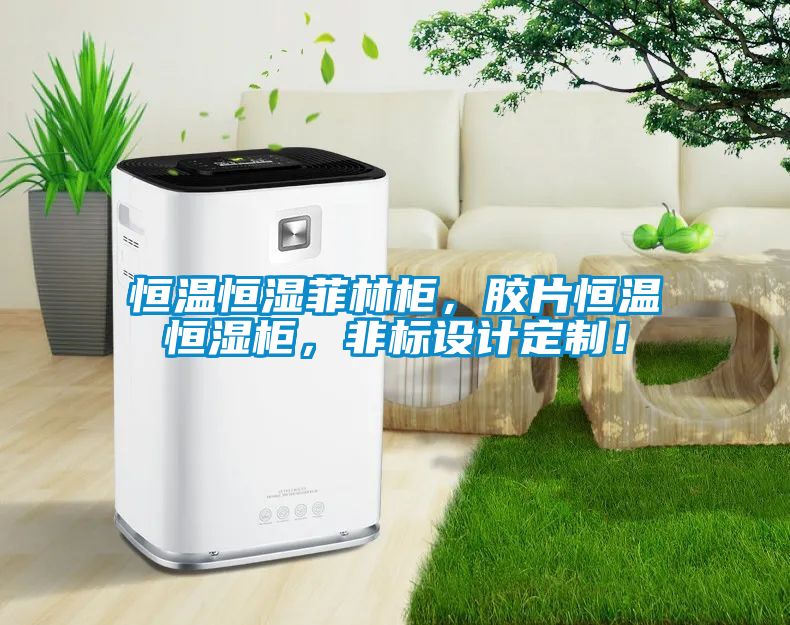 恒溫恒濕菲林柜，膠片恒溫恒濕柜，非標(biāo)設(shè)計(jì)定制！