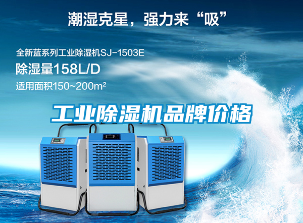 工業(yè)除濕機(jī)品牌價(jià)格
