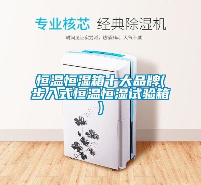 恒溫恒濕箱十大品牌(步入式恒溫恒濕試驗(yàn)箱)
