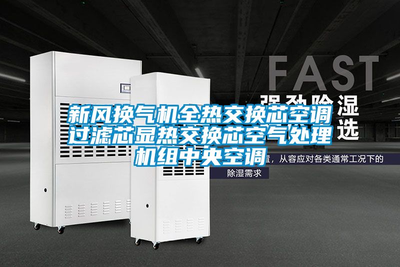 新風(fēng)換氣機全熱交換芯空調(diào)過濾芯顯熱交換芯空氣處理機組中央空調(diào)