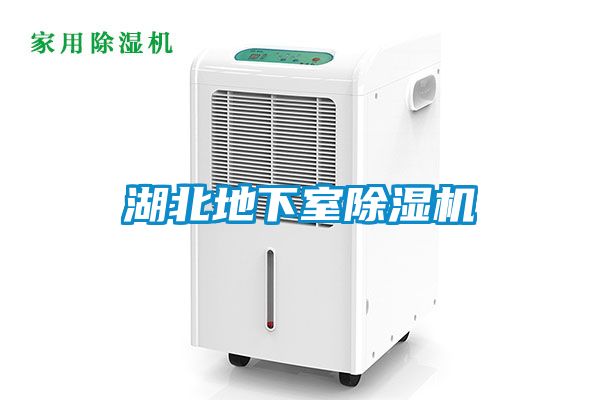 湖北地下室除濕機