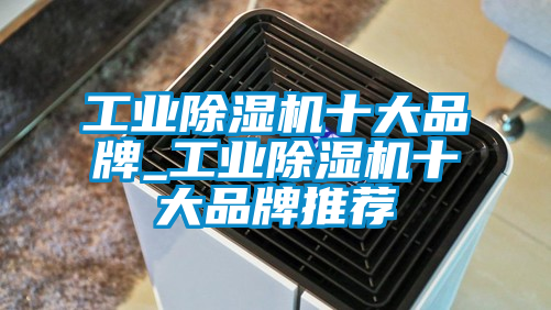 工業(yè)除濕機十大品牌_工業(yè)除濕機十大品牌推薦
