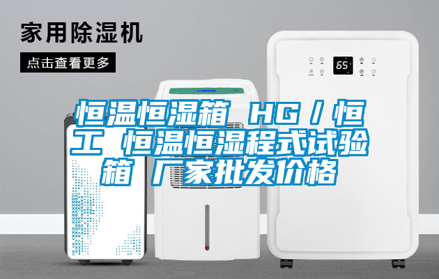 恒溫恒濕箱 HG／恒工 恒溫恒濕程式試驗(yàn)箱 廠家批發(fā)價(jià)格