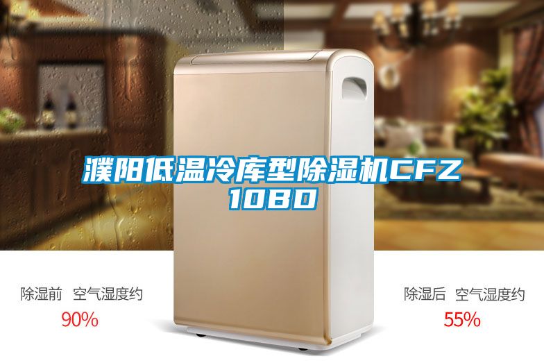濮陽低溫冷庫型除濕機(jī)CFZ10BD