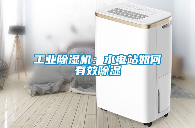 工業(yè)除濕機(jī)：水電站如何有效除濕