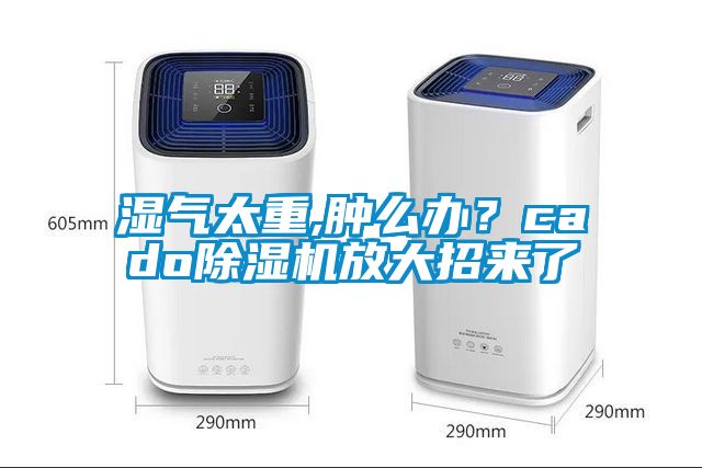 濕氣太重,腫么辦？cado除濕機(jī)放大招來(lái)了