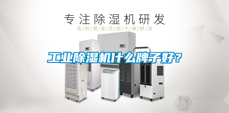 工業(yè)除濕機什么牌子好？