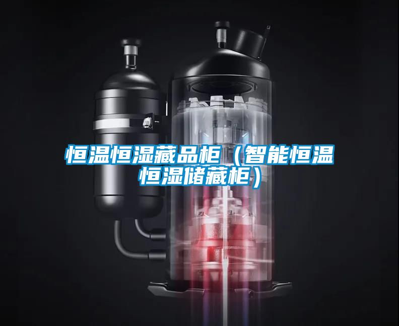 恒溫恒濕藏品柜（智能恒溫恒濕儲(chǔ)藏柜）