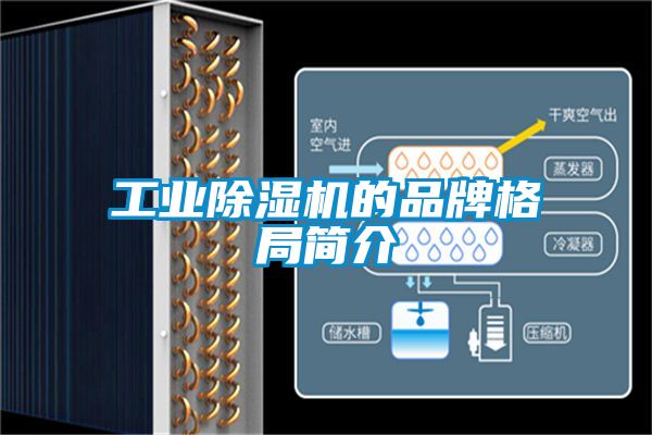 工業(yè)除濕機(jī)的品牌格局簡(jiǎn)介