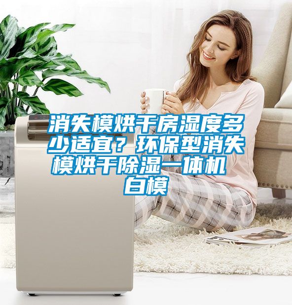 消失模烘干房濕度多少適宜？環(huán)保型消失模烘干除濕一體機(jī) 白模