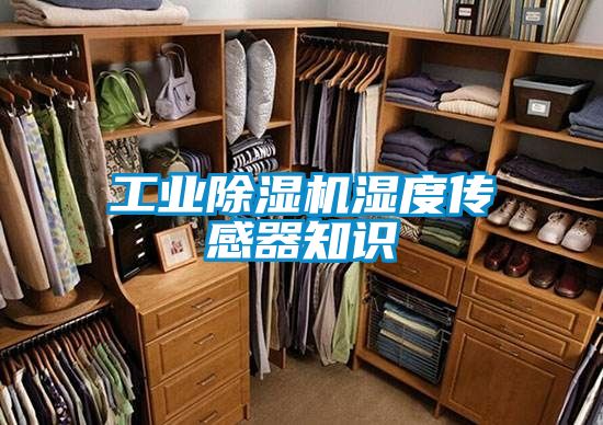 工業(yè)除濕機(jī)濕度傳感器知識(shí)