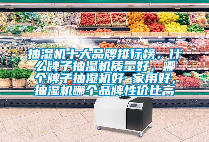 抽濕機十大品牌排行榜，什么牌子抽濕機質量好，哪個牌子抽濕機好 家用好，抽濕機哪個品牌性價比高