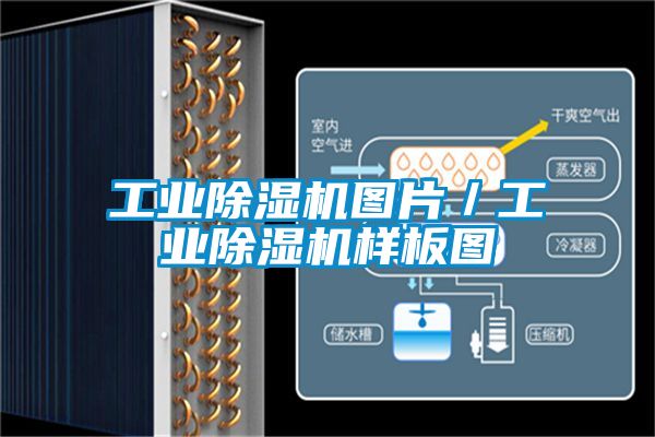 工業(yè)除濕機(jī)圖片／工業(yè)除濕機(jī)樣板圖