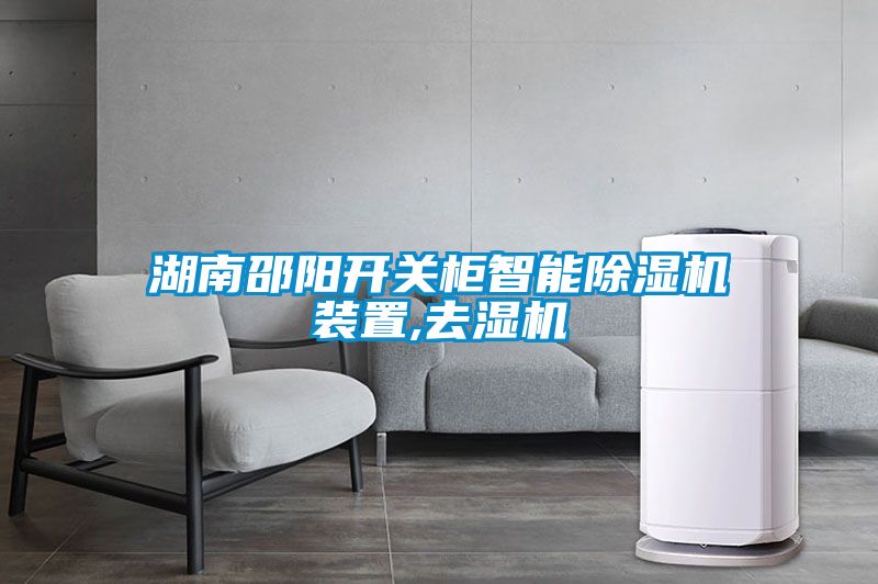 湖南邵陽開關(guān)柜智能除濕機裝置,去濕機