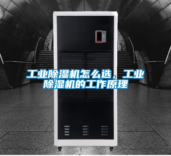 工業(yè)除濕機(jī)怎么選，工業(yè)除濕機(jī)的工作原理