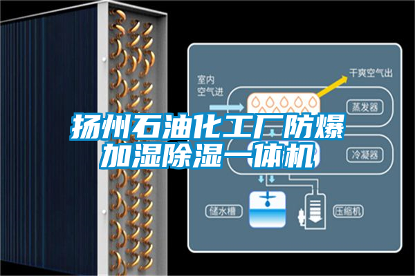 揚(yáng)州石油化工廠防爆加濕除濕一體機(jī)