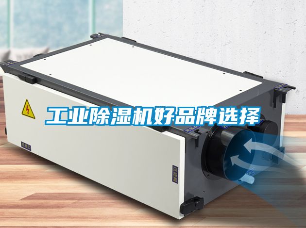 工業(yè)除濕機(jī)好品牌選擇