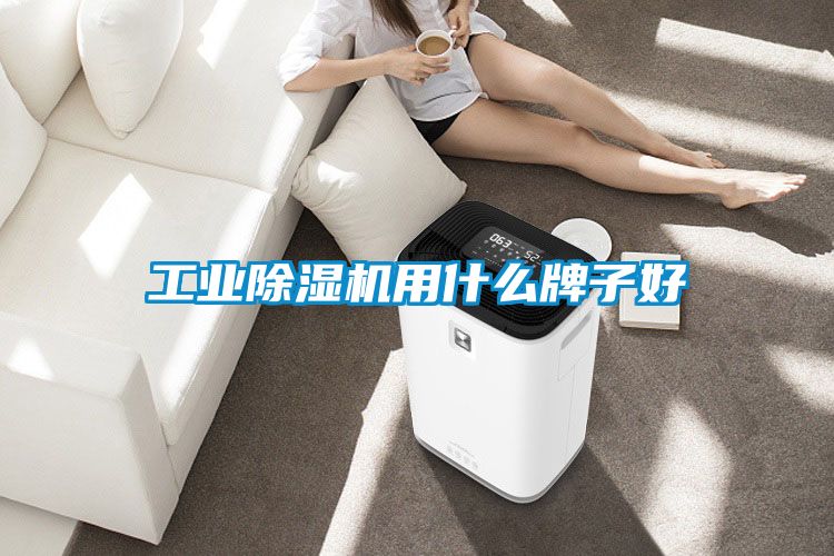 工業(yè)除濕機用什么牌子好