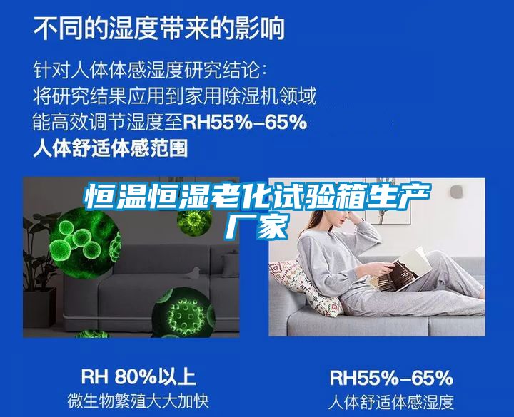恒溫恒濕老化試驗箱生產(chǎn)廠家