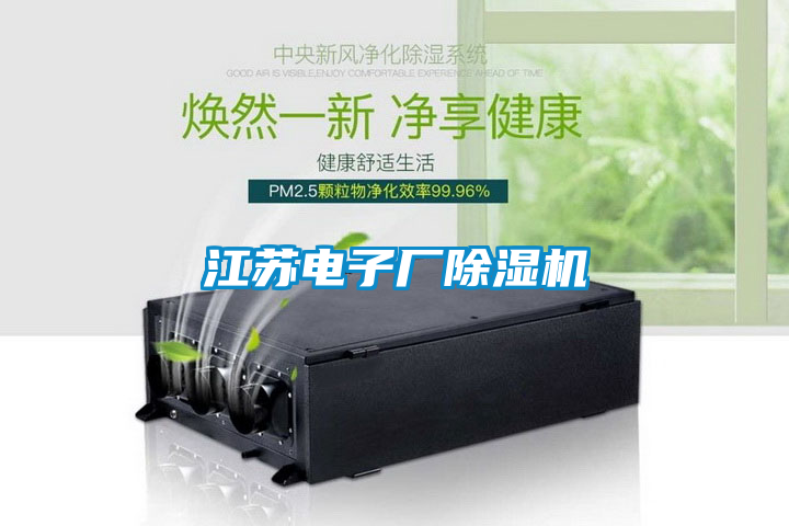 江蘇電子廠除濕機(jī)