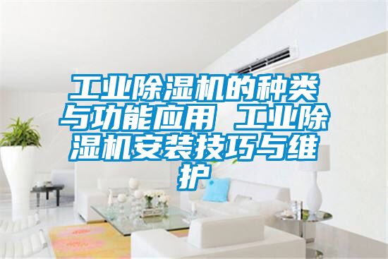 工業(yè)除濕機的種類與功能應(yīng)用 工業(yè)除濕機安裝技巧與維護