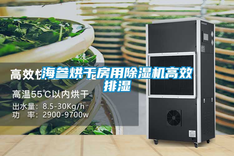 海參烘干房用除濕機高效排濕