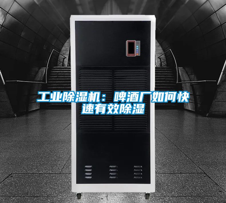 工業(yè)除濕機：啤酒廠如何快速有效除濕