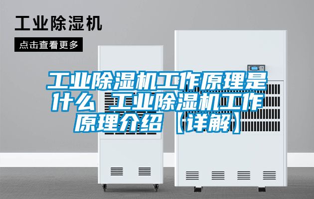 工業(yè)除濕機(jī)工作原理是什么 工業(yè)除濕機(jī)工作原理介紹【詳解】