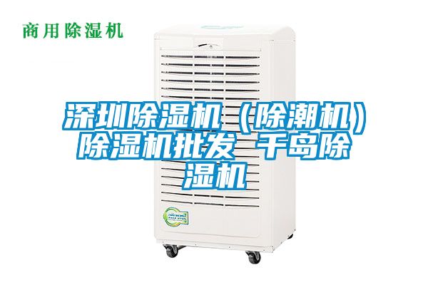 深圳除濕機(jī)（除潮機(jī)）除濕機(jī)批發(fā) 千島除濕機(jī)