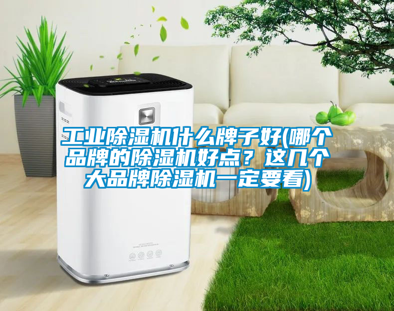 工業(yè)除濕機(jī)什么牌子好(哪個(gè)品牌的除濕機(jī)好點(diǎn)？這幾個(gè)大品牌除濕機(jī)一定要看)