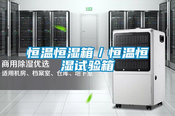 恒溫恒濕箱／恒溫恒濕試驗(yàn)箱
