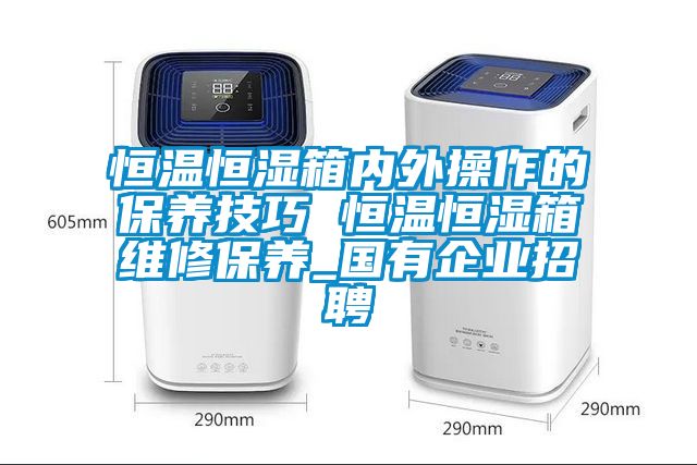 恒溫恒濕箱內(nèi)外操作的保養(yǎng)技巧 恒溫恒濕箱維修保養(yǎng)_國有企業(yè)招聘