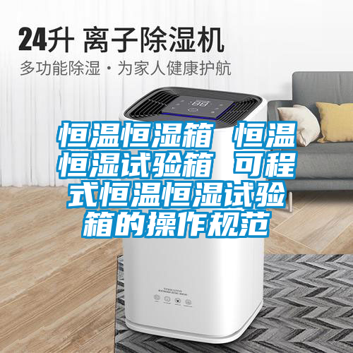 恒溫恒濕箱 恒溫恒濕試驗箱 可程式恒溫恒濕試驗箱的操作規(guī)范