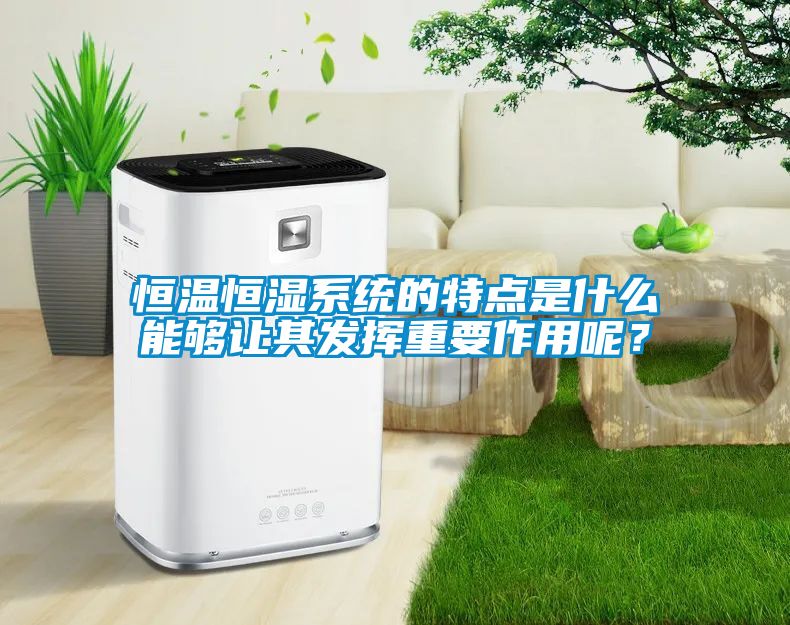 恒溫恒濕系統(tǒng)的特點(diǎn)是什么能夠讓其發(fā)揮重要作用呢？