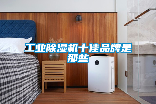 工業(yè)除濕機(jī)十佳品牌是那些