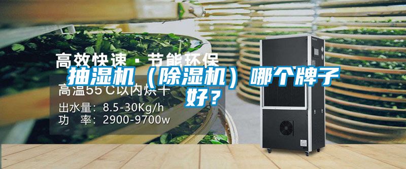 抽濕機(jī)（除濕機(jī)）哪個牌子好？