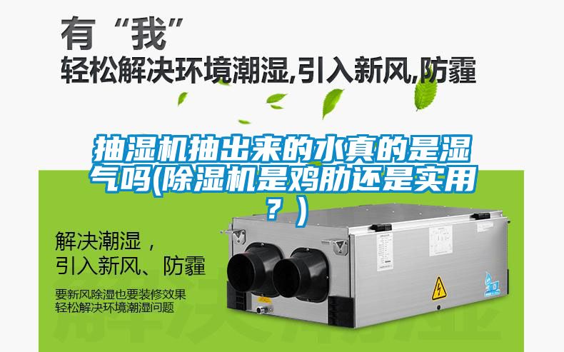 抽濕機抽出來的水真的是濕氣嗎(除濕機是雞肋還是實用？)