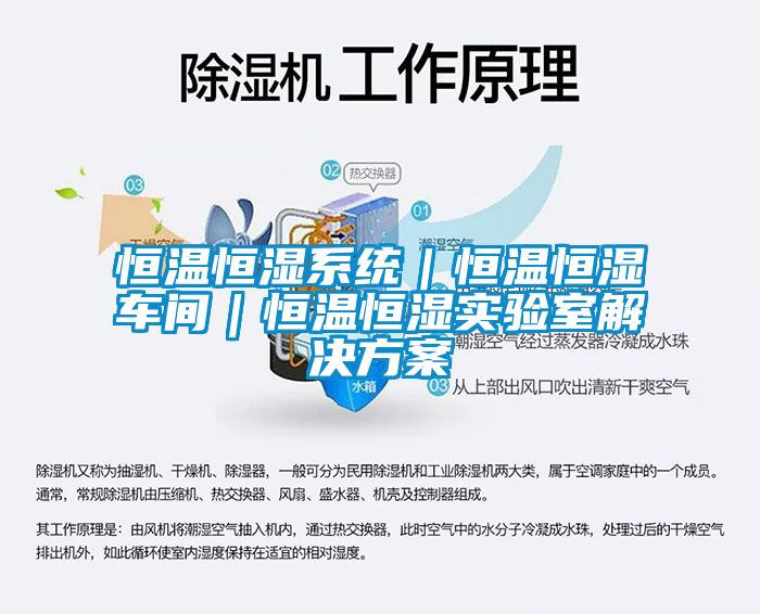 恒溫恒濕系統(tǒng)｜恒溫恒濕車間｜恒溫恒濕實驗室解決方案