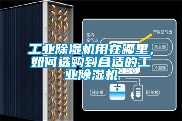 工業(yè)除濕機(jī)用在哪里，如何選購到合適的工業(yè)除濕機(jī)