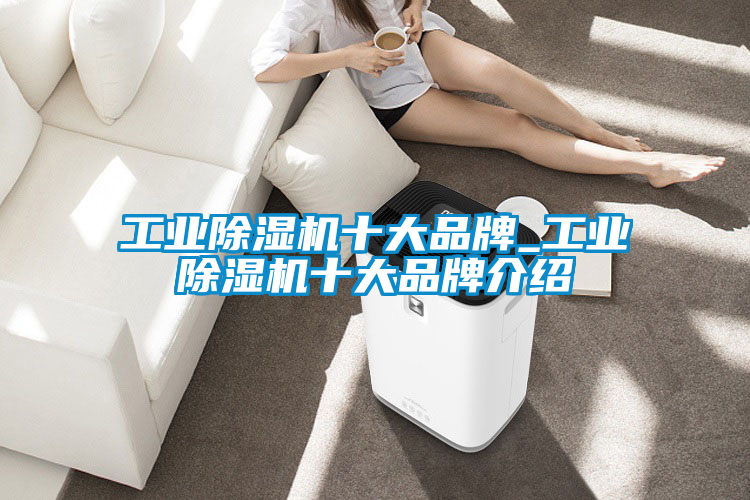 工業(yè)除濕機十大品牌_工業(yè)除濕機十大品牌介紹