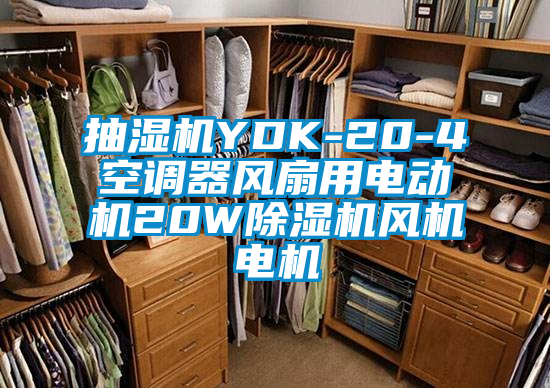 抽濕機(jī)YDK-20-4空調(diào)器風(fēng)扇用電動機(jī)20W除濕機(jī)風(fēng)機(jī)電機(jī)