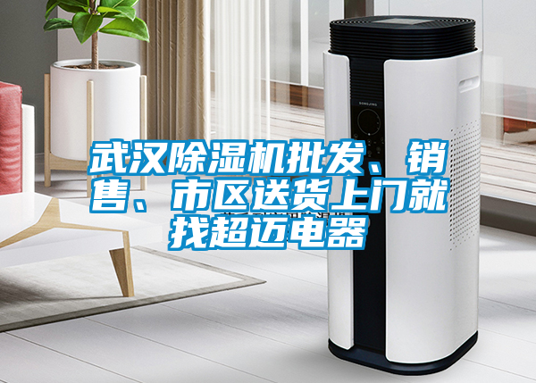 武漢除濕機(jī)批發(fā)、銷售、市區(qū)送貨上門就找超邁電器