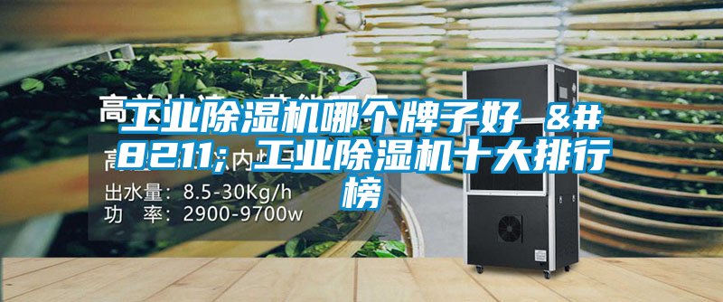 工業(yè)除濕機(jī)哪個(gè)牌子好 – 工業(yè)除濕機(jī)十大排行榜